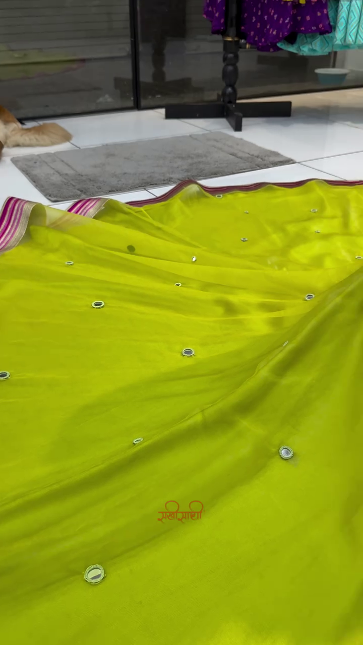 Embroidered Sleeveless Navratri Chaniya Choli Set - Image 3